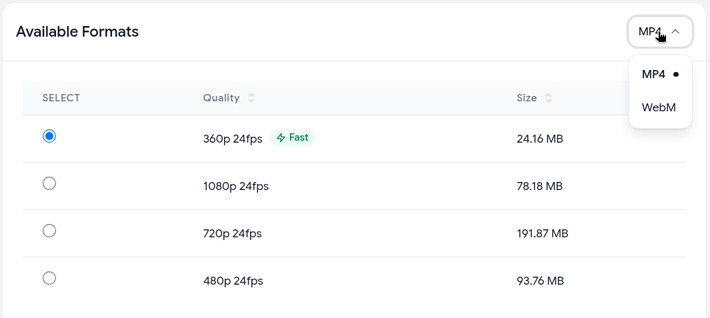 Format menu above the quality table in the YouTube video downloader, with MP4 selected and WebM as the other option